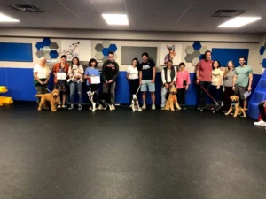 A group of people stands in a row indoors, each with a dog; two people hold certificates.