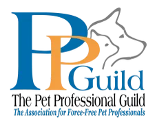 Logo showing large blue and orange letters "PP" with the word "Guild" and a tagline about mastering learning professionals.