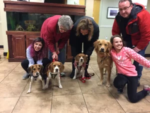 Five people pose indoors with three beagles and one golden retriever in front of a wooden cabinet with a fish tank.