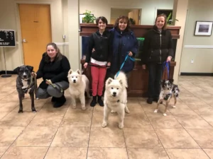 Four women standing indoors, each holding a leash with a different breed of dog, posing for a group photo.
