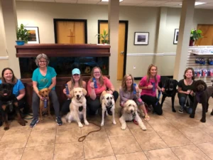 Eight women sit indoors in a row with their dogs, each holding a blue ribbon and smiling at the camera.
