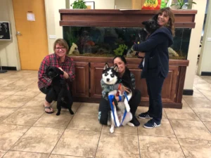 Three women pose indoors with three dogs in front of a large fish tank on a tiled floor.