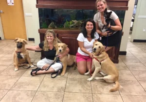 Three women pose indoors with four dogs in front of a large fish tank.