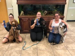 Three women kneel indoors with their dogs, each holding a blue ribbon in front of a large fish tank.