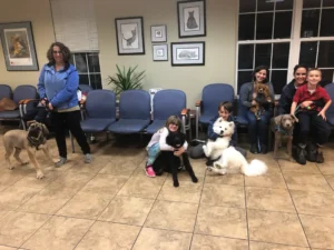 Several people sit and stand in a waiting room, each accompanied by a dog of various breeds and sizes.
