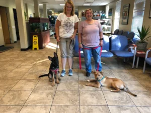 Two women standing in a waiting room with leashed dogs; one dog sitting, the other lying on the floor.