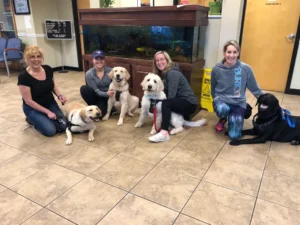 Four women kneel indoors with four dogs in front of a large fish tank and yellow caution sign.