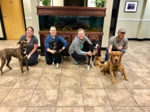 Four people kneel indoors, each holding a dog on a leash, with a man sitting at the end holding a golden retriever.