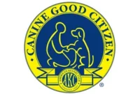 Round yellow and blue logo with figures of a person and a dog, labeled "Canine Good Citizen" and "AKC" at the bottom.